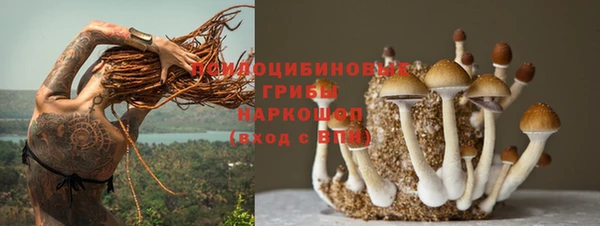мяу мяу мука Арсеньев